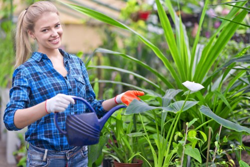 Healthy green lawn care in Coneyhall with neat grass and tidy garden edges