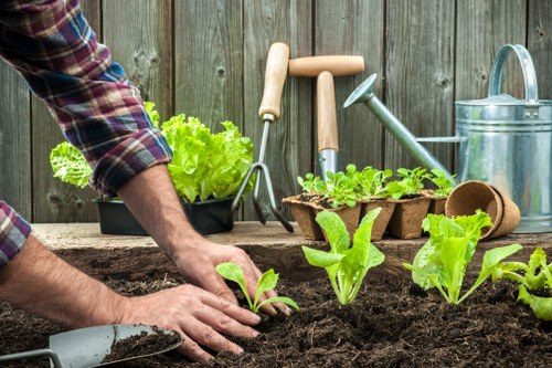 Professional planting services in Coneyhall creating a well-designed garden border