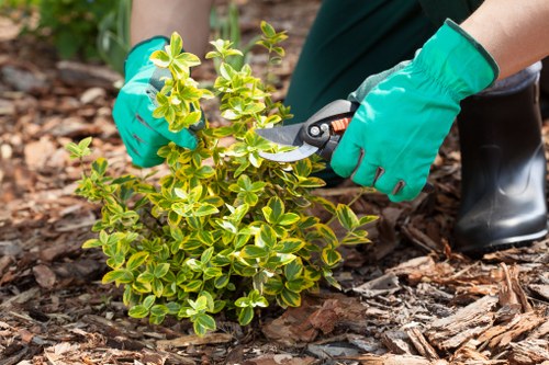Safe checkout review for Landscapers Coneyhall payments