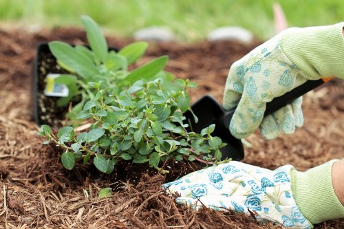 Colourful planting scheme for flower bed creation in Coneyhall