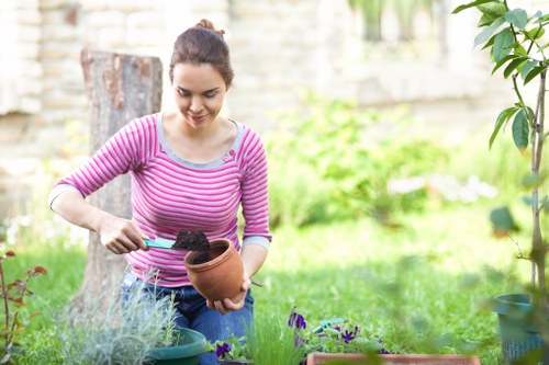 Professional landscaping in Coneyhall with structured planting