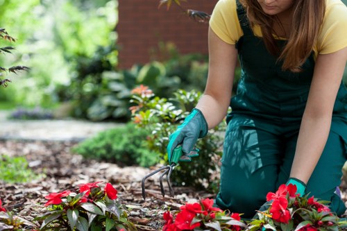 Professional landscaper discussing a service concern