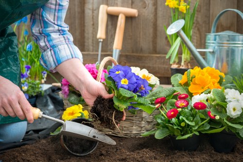 Modern and traditional garden renovation ideas in Coneyhall