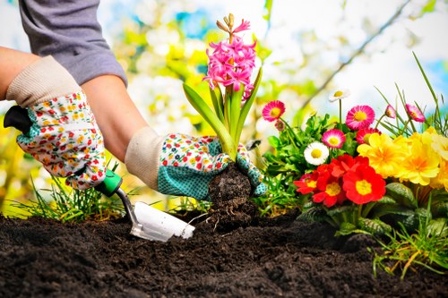 Ongoing commitment to prevent modern slavery at Landscapers Coneyhall