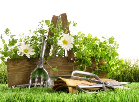 Screen-reader friendly landscaping website section illustration