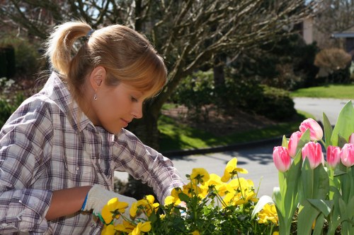 Planning and layout work for a flower bed creation project in Coneyhall